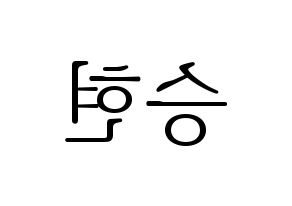 KPOP BIGBANG(빅뱅、ビッグバン) 탑 (T.O.P) 応援ボード・うちわ　韓国語/ハングル文字型紙 左右反転