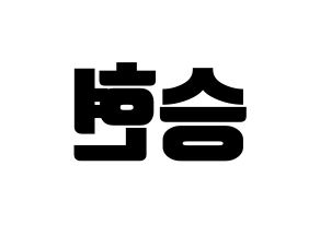 KPOP BIGBANG(빅뱅、ビッグバン) 탑 (T.O.P) コンサート用　応援ボード・うちわ　韓国語/ハングル文字型紙 左右反転