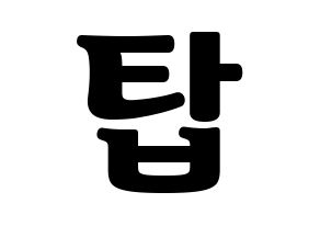 KPOP BIGBANG(빅뱅、ビッグバン) 탑 (T.O.P) コンサート用　応援ボード・うちわ　韓国語/ハングル文字型紙 通常