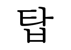 KPOP BIGBANG(빅뱅、ビッグバン) 탑 (T.O.P) 応援ボード・うちわ　韓国語/ハングル文字型紙 通常