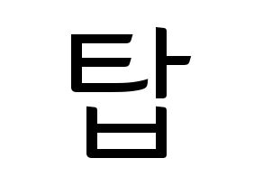 KPOP BIGBANG(빅뱅、ビッグバン) 탑 (T.O.P) コンサート用　応援ボード・うちわ　韓国語/ハングル文字型紙 通常
