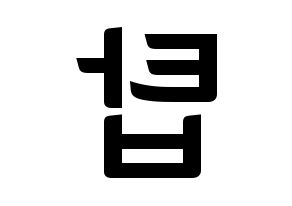 KPOP BIGBANG(빅뱅、ビッグバン) 탑 (T.O.P) k-pop アイドル名前 ファンサボード 型紙 左右反転