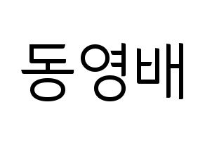 KPOP BIGBANG(빅뱅、ビッグバン) 태양 (SOL) コンサート用　応援ボード・うちわ　韓国語/ハングル文字型紙 通常