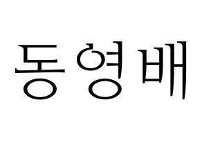 KPOP BIGBANG(빅뱅、ビッグバン) 태양 (SOL) 応援ボード・うちわ　韓国語/ハングル文字型紙 通常