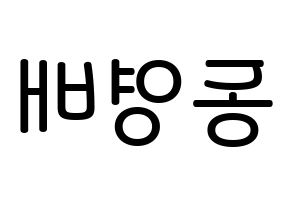 KPOP BIGBANG(빅뱅、ビッグバン) 태양 (トン・ヨンベ, SOL) 無料サイン会用、イベント会用応援ボード型紙 左右反転