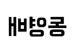 KPOP BIGBANG(빅뱅、ビッグバン) 태양 (SOL) k-pop アイドル名前 ファンサボード 型紙 左右反転