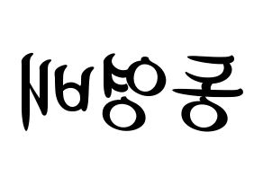 KPOP BIGBANG(빅뱅、ビッグバン) 태양 (SOL) k-pop 応援ボード メッセージ 型紙 左右反転
