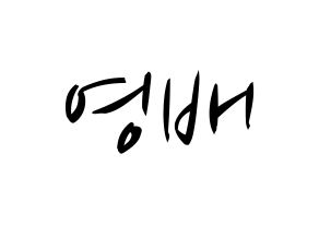 KPOP BIGBANG(빅뱅、ビッグバン) 태양 (SOL) k-pop 応援ボード メッセージ 型紙 通常