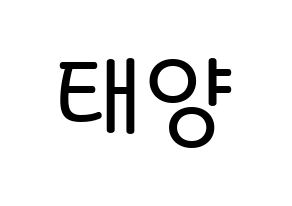 KPOP BIGBANG(빅뱅、ビッグバン) 태양 (トン・ヨンベ, SOL) 無料サイン会用、イベント会用応援ボード型紙 通常