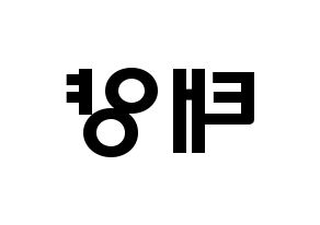 KPOP BIGBANG(빅뱅、ビッグバン) 태양 (トン・ヨンベ, SOL) 応援ボード、うちわ無料型紙、応援グッズ 左右反転