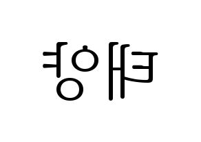 KPOP BIGBANG(빅뱅、ビッグバン) 태양 (SOL) 応援ボード・うちわ　韓国語/ハングル文字型紙 左右反転