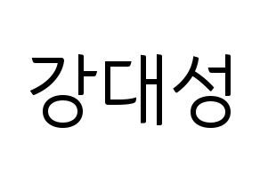 KPOP BIGBANG(빅뱅、ビッグバン) 대성 (D-LITE) コンサート用　応援ボード・うちわ　韓国語/ハングル文字型紙 通常