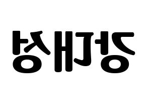 KPOP BIGBANG(빅뱅、ビッグバン) 대성 (D-LITE) コンサート用　応援ボード・うちわ　韓国語/ハングル文字型紙 左右反転