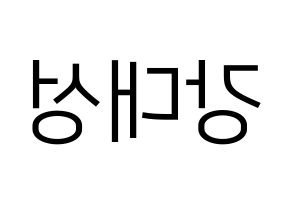 KPOP BIGBANG(빅뱅、ビッグバン) 대성 (D-LITE) プリント用応援ボード型紙、うちわ型紙　韓国語/ハングル文字型紙 左右反転