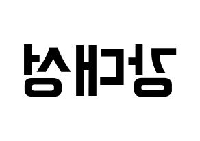 KPOP BIGBANG(빅뱅、ビッグバン) 대성 (D-LITE) k-pop アイドル名前 ファンサボード 型紙 左右反転