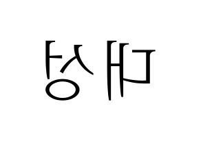 KPOP BIGBANG(빅뱅、ビッグバン) 대성 (D-LITE) 応援ボード・うちわ　韓国語/ハングル文字型紙 左右反転
