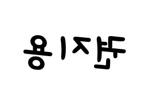 KPOP BIGBANG(빅뱅、ビッグバン) 지드래곤 (G-DRAGON) 名前 応援ボード 作り方 左右反転