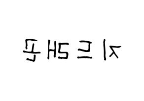 KPOP BIGBANG(빅뱅、ビッグバン) 지드래곤 (G-DRAGON) 名前 応援ボード 作り方 左右反転