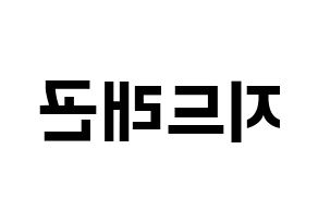 KPOP BIGBANG(빅뱅、ビッグバン) 지드래곤 (G-DRAGON) k-pop アイドル名前 ファンサボード 型紙 左右反転