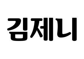 KPOP Black Pink(블랙핑크、ブラックピンク) 제니 (ジェニー) コンサート用　応援ボード・うちわ　韓国語/ハングル文字型紙 通常