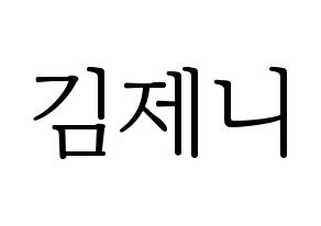 KPOP Black Pink(블랙핑크、ブラックピンク) 제니 (ジェニー) 応援ボード・うちわ　韓国語/ハングル文字型紙 通常