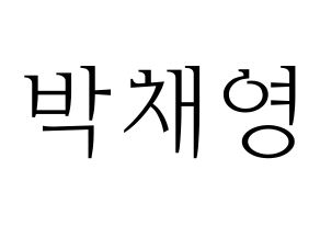 KPOP Black Pink(블랙핑크、ブラックピンク) 로제 (ロゼ) 応援ボード・うちわ　韓国語/ハングル文字型紙 通常
