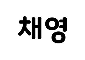 KPOP Black Pink(블랙핑크、ブラックピンク) 로제 (ロゼ) 応援ボード・うちわ　韓国語/ハングル文字型紙 通常