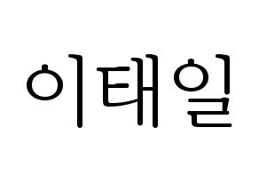 KPOP Block B(블락비、ブロックビー) 태일 (テイル) 応援ボード・うちわ　韓国語/ハングル文字型紙 通常