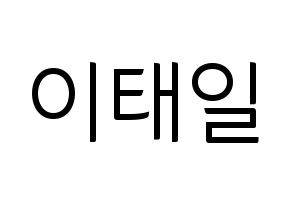 KPOP Block B(블락비、ブロックビー) 태일 (テイル) コンサート用　応援ボード・うちわ　韓国語/ハングル文字型紙 通常