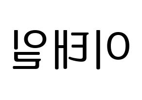 KPOP Block B(블락비、ブロックビー) 태일 (テイル) プリント用応援ボード型紙、うちわ型紙　韓国語/ハングル文字型紙 左右反転
