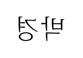 KPOP Block B(블락비、ブロックビー) 박경 (パッキョン) 応援ボード・うちわ　韓国語/ハングル文字型紙 左右反転