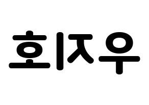 KPOP Block B(블락비、ブロックビー) 지코 (ジコ) 応援ボード・うちわ　韓国語/ハングル文字型紙 左右反転
