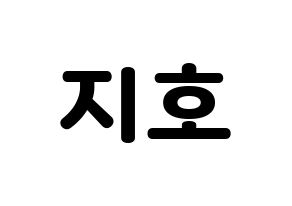 KPOP Block B(블락비、ブロックビー) 지코 (ジコ) 応援ボード・うちわ　韓国語/ハングル文字型紙 通常