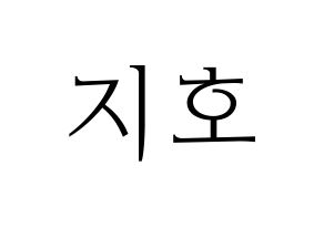 KPOP Block B(블락비、ブロックビー) 지코 (ジコ) 応援ボード・うちわ　韓国語/ハングル文字型紙 通常