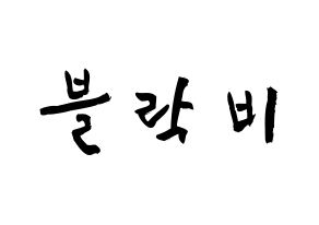 KPOP歌手 Block B(블락비、ブロックビー) 応援ボード型紙、うちわ型紙　韓国語/ハングル文字 通常