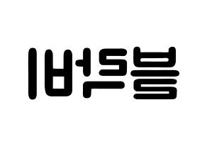 KPOP歌手 Block B(블락비、ブロックビー) 応援ボード型紙、うちわ型紙　韓国語/ハングル文字 左右反転