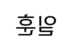 KPOP BTOB(비투비、ビートゥービー) 일훈 (イルフン) プリント用応援ボード型紙、うちわ型紙　韓国語/ハングル文字型紙 左右反転
