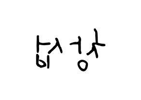 KPOP BTOB(비투비、ビートゥービー) 창섭 (チャンソプ) k-pop 応援ボード メッセージ 型紙 左右反転
