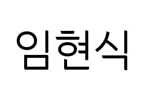 KPOP BTOB(비투비、ビートゥービー) 현식 (ヒョンシク) コンサート用　応援ボード・うちわ　韓国語/ハングル文字型紙 通常