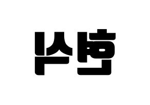 KPOP BTOB(비투비、ビートゥービー) 현식 (ヒョンシク) コンサート用　応援ボード・うちわ　韓国語/ハングル文字型紙 左右反転