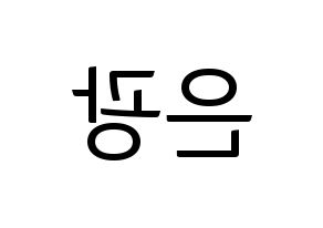 KPOP BTOB(비투비、ビートゥービー) 은광 (ウングァン) コンサート用　応援ボード・うちわ　韓国語/ハングル文字型紙 左右反転
