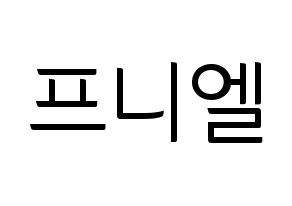 KPOP BTOB(비투비、ビートゥービー) 프니엘 (プニエル) コンサート用　応援ボード・うちわ　韓国語/ハングル文字型紙 通常