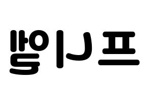 KPOP BTOB(비투비、ビートゥービー) 프니엘 (プニエル) 応援ボード・うちわ　韓国語/ハングル文字型紙 左右反転