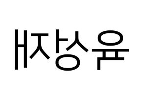 KPOP BTOB(비투비、ビートゥービー) 성재 (ソンジェ) プリント用応援ボード型紙、うちわ型紙　韓国語/ハングル文字型紙 左右反転