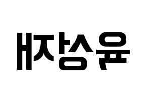 KPOP BTOB(비투비、ビートゥービー) 성재 (ソンジェ) k-pop アイドル名前 ファンサボード 型紙 左右反転