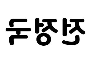 KPOP BTS(방탄소년단、防弾少年団) 정국 (ジョングク) 応援ボード・うちわ　韓国語/ハングル文字型紙 左右反転