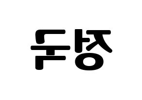 KPOP BTS(방탄소년단、防弾少年団) 정국 (ジョングク) コンサート用　応援ボード・うちわ　韓国語/ハングル文字型紙 左右反転