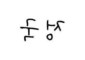 KPOP BTS(방탄소년단、防弾少年団) 정국 (ジョングク) k-pop 応援ボード メッセージ 型紙 左右反転