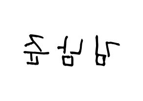 KPOP BTS(방탄소년단、防弾少年団) RM (アールエム) 名前 応援ボード 作り方 左右反転