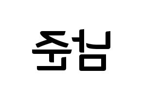 KPOP BTS(방탄소년단、防弾少年団) RM (アールエム) k-pop アイドル名前 ファンサボード 型紙 左右反転